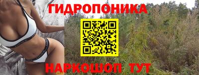 Альфа ПВП Новозыбков