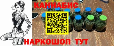 Альфа ПВП Новозыбков