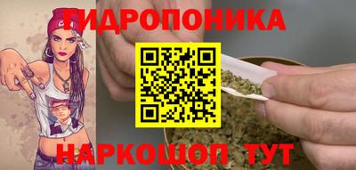 jwh Новокубанск