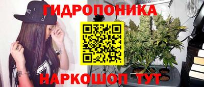 Альфа ПВП Новозыбков