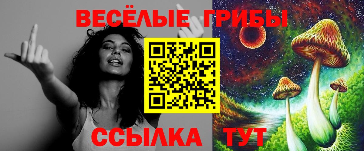 Псилоцибиновые грибы Psilocybine cubensis Удомля